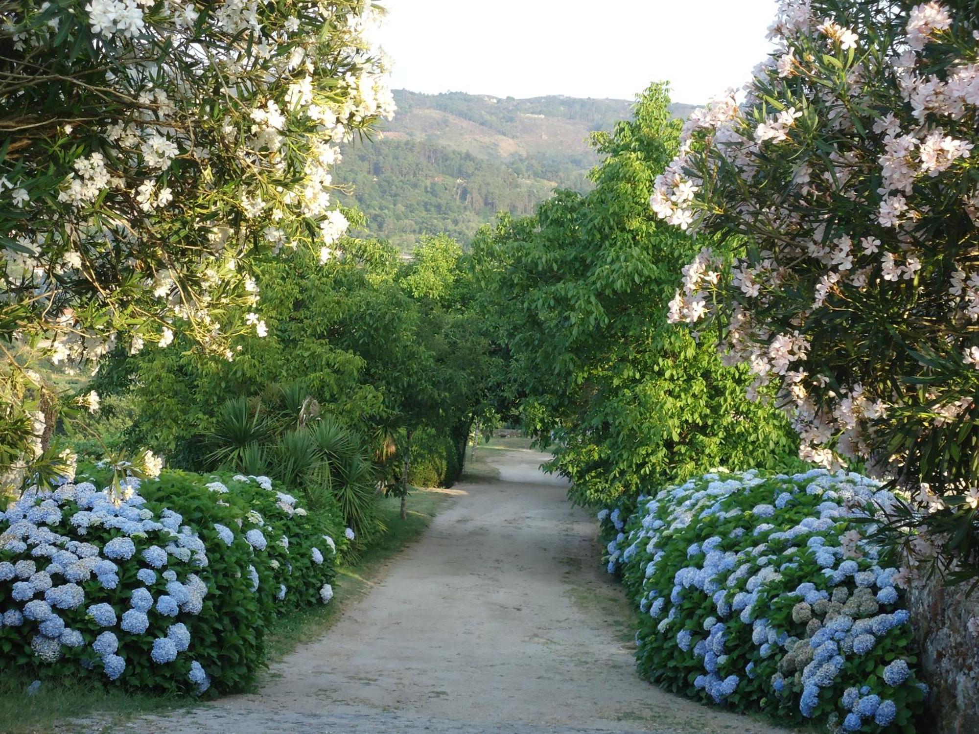 Вилла Quinta De Luou Santa Cruz do Lima Экстерьер фото